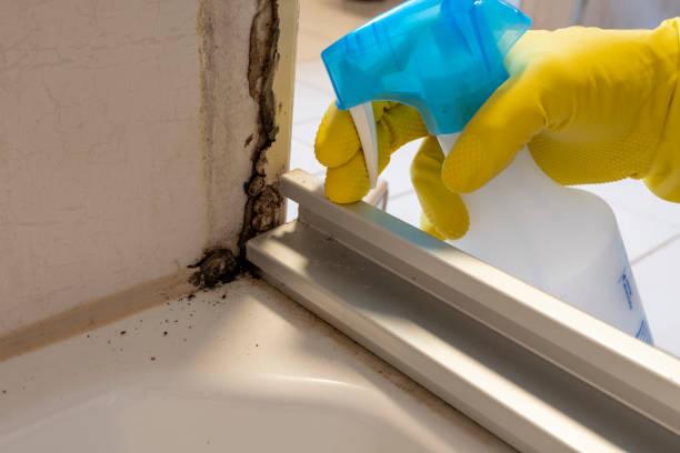 Best Preventive Mold Services in Panthersville, GA